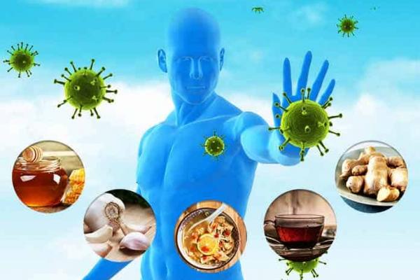 Cấu tạo cơ thể & cách sử dụng đúng: Bữa ăn và hệ miễn dịch 