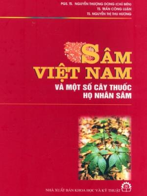 Sâm Việt Nam và một số cây thuốc họ nhân sâm
